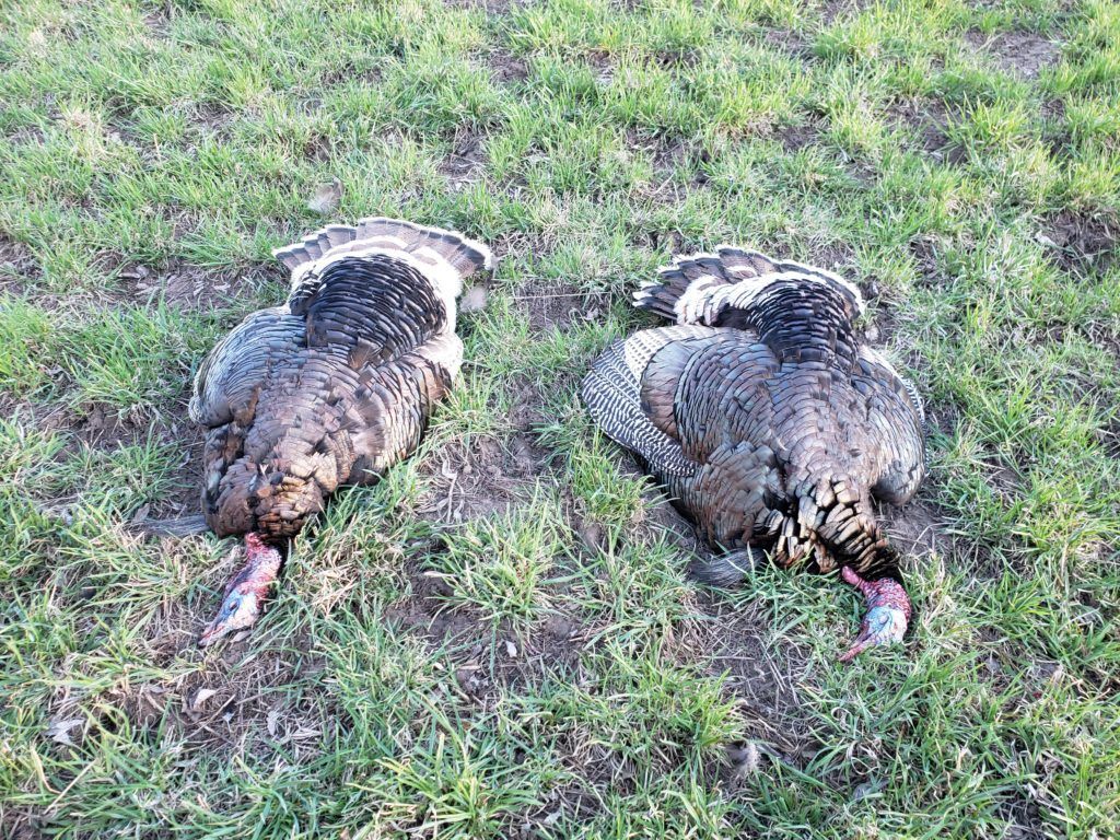 Lone Wolf Guide Service Hunting