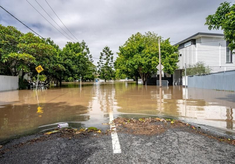 A Flooded Street With Trees and a House in the Background — CWD Group in Springwood, QLD