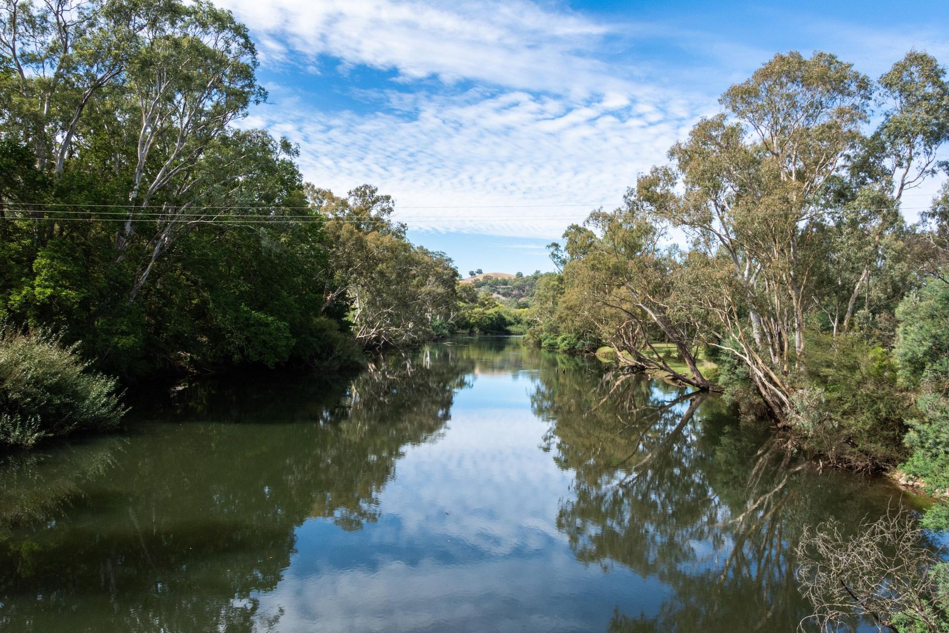 A Storm Water Surrounded by Trees — CWD Group in Whitsundays, QLD