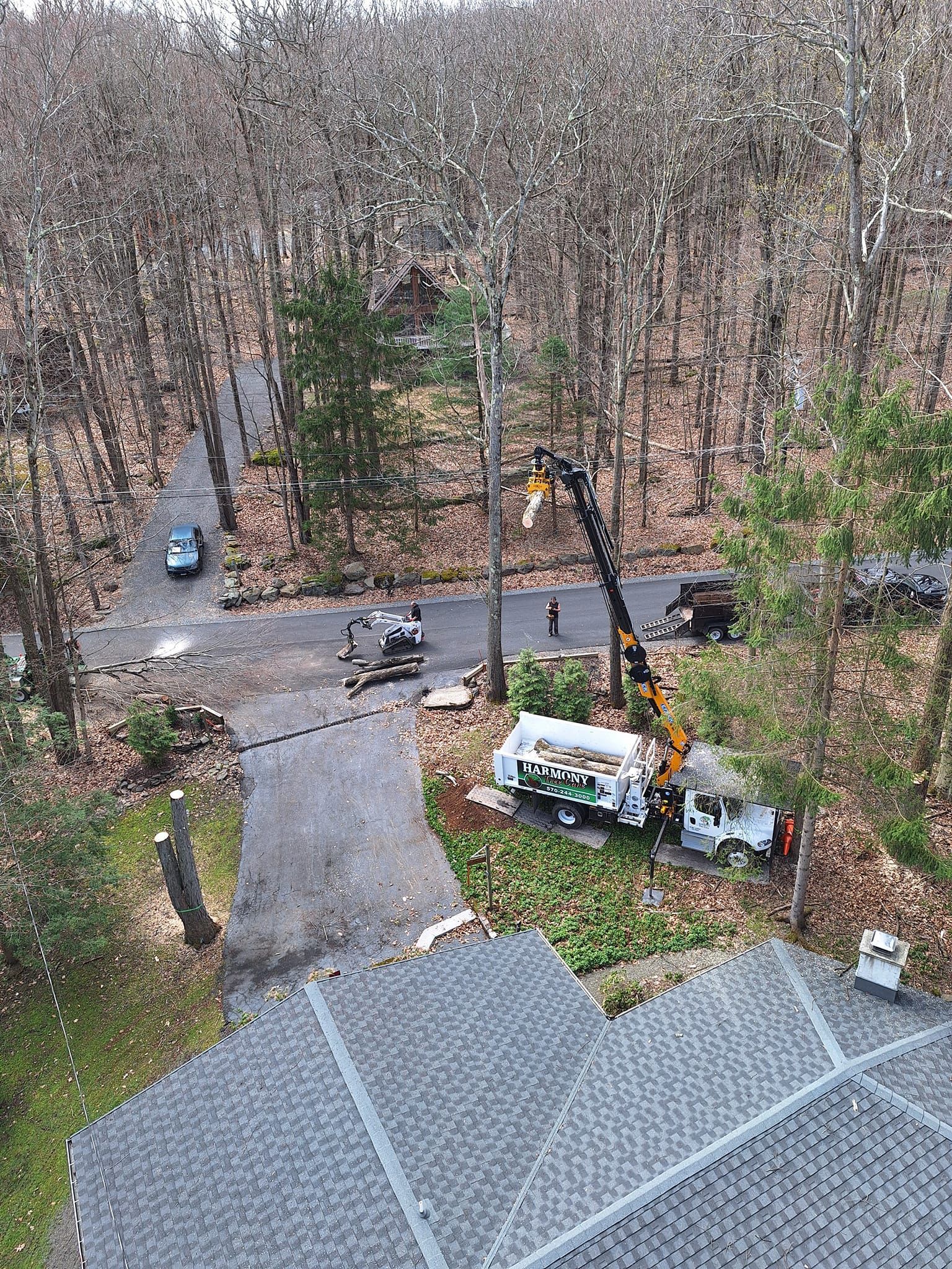 An aerial view of a crane cutting a tree in the woods.