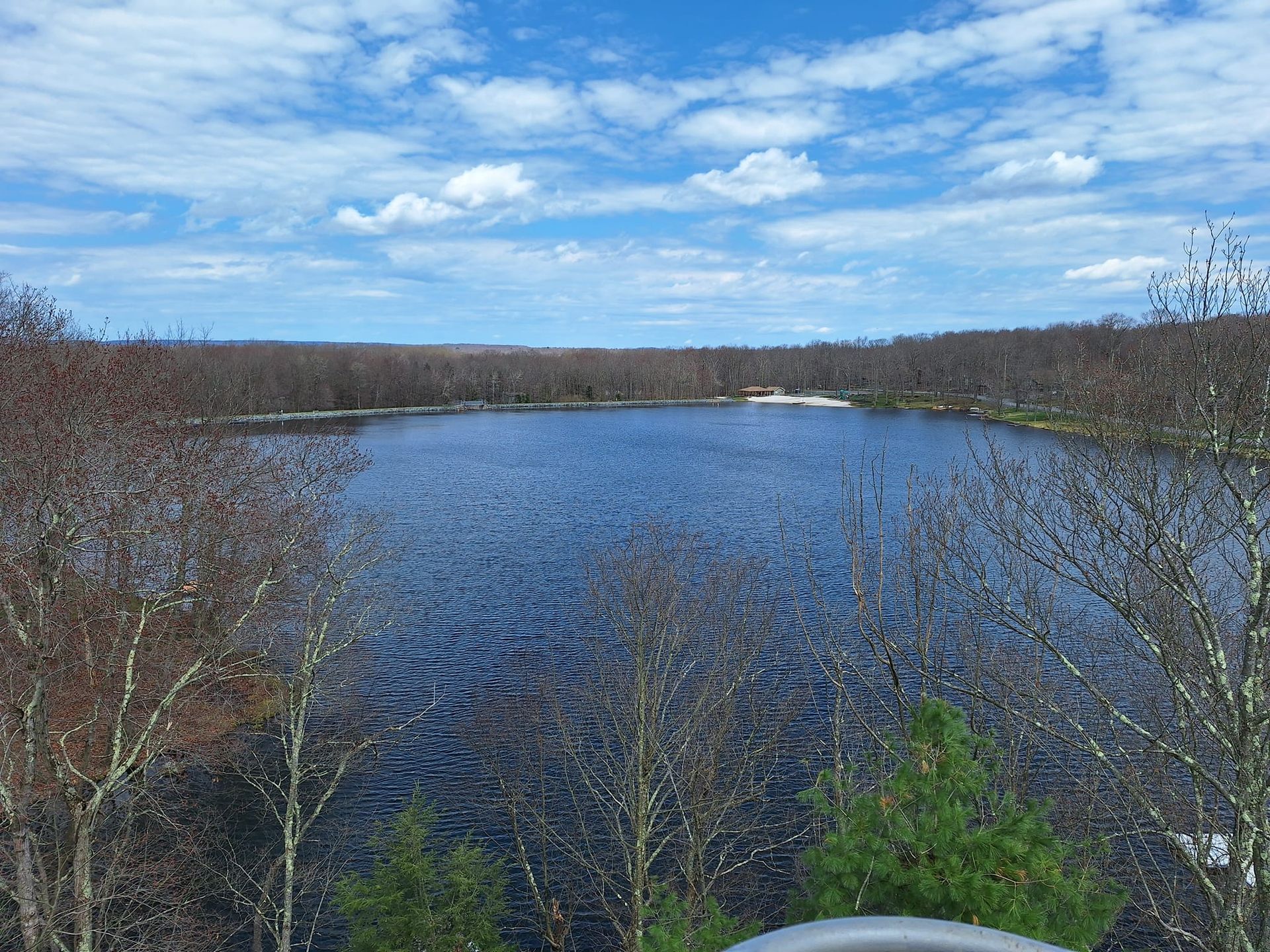 A large body of water surrounded by trees on a sunny day.