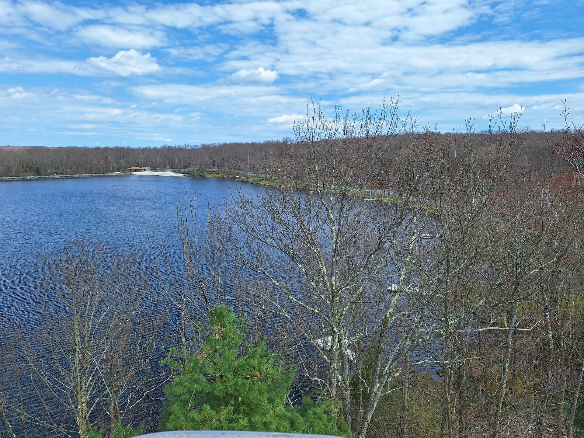 A large body of water surrounded by trees on a sunny day