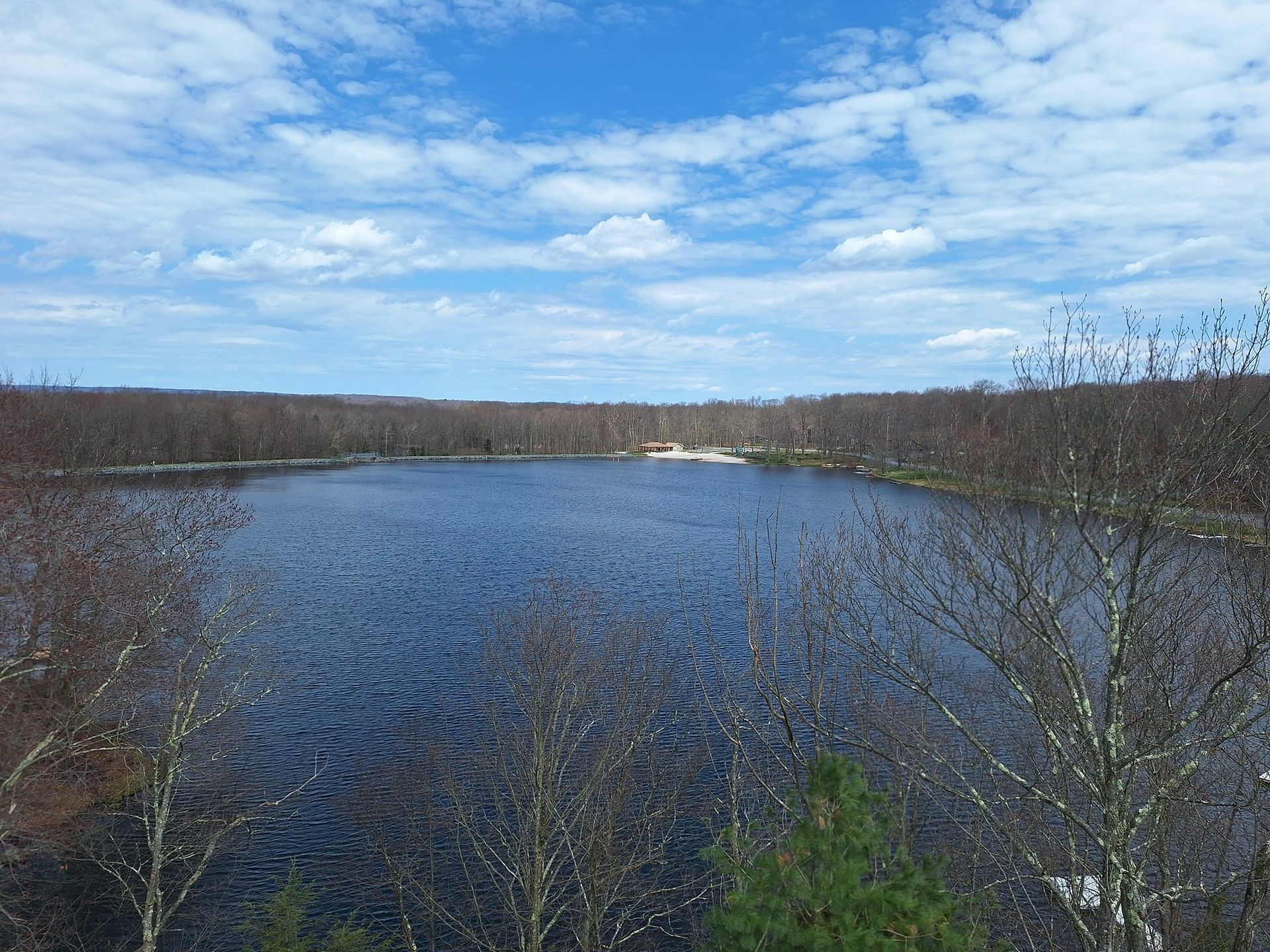 A large body of water surrounded by trees on a sunny day