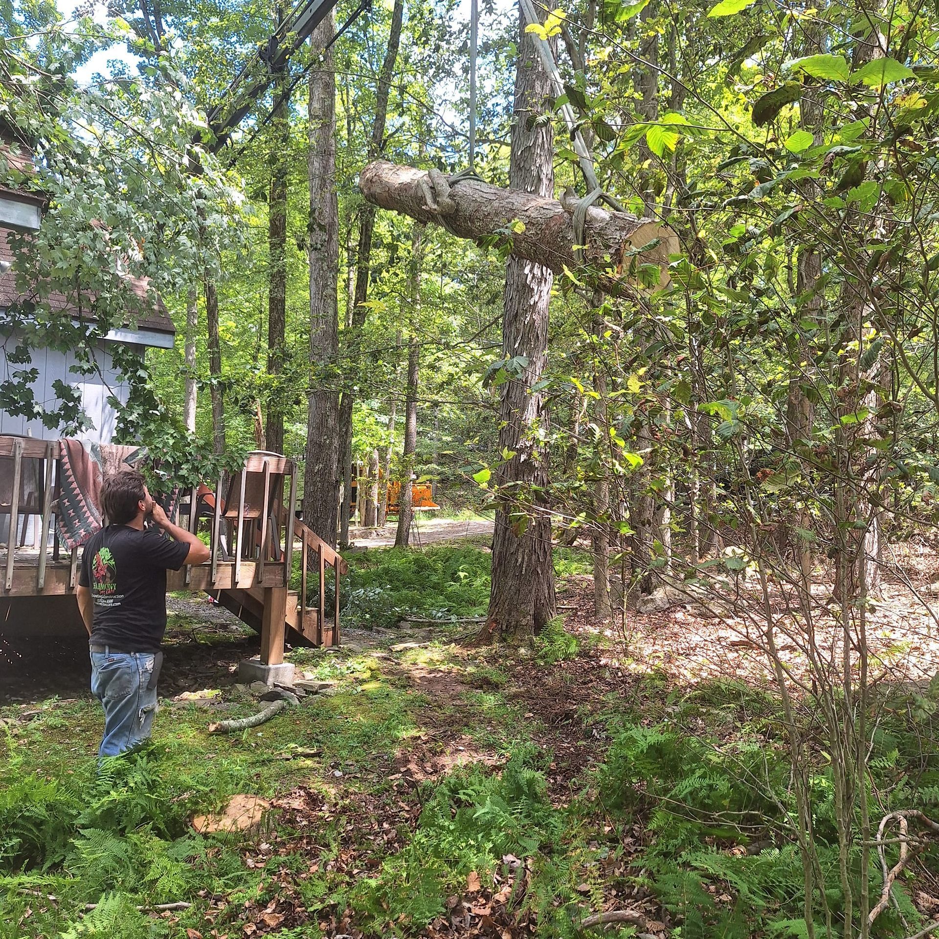 A man is standing in the woods near a house with a fallen tree.