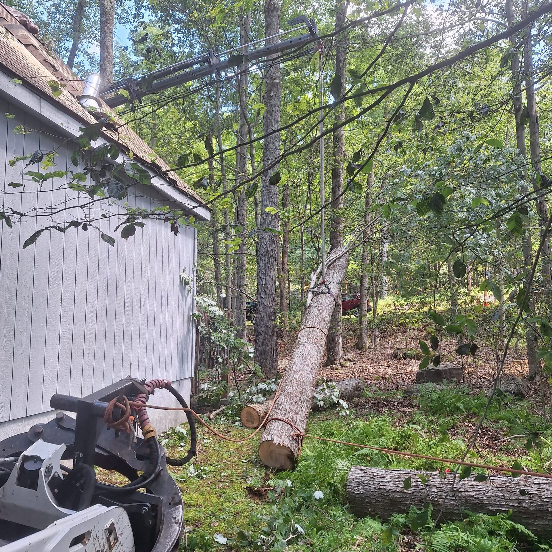 A tractor is cutting a tree in the woods next to a house.