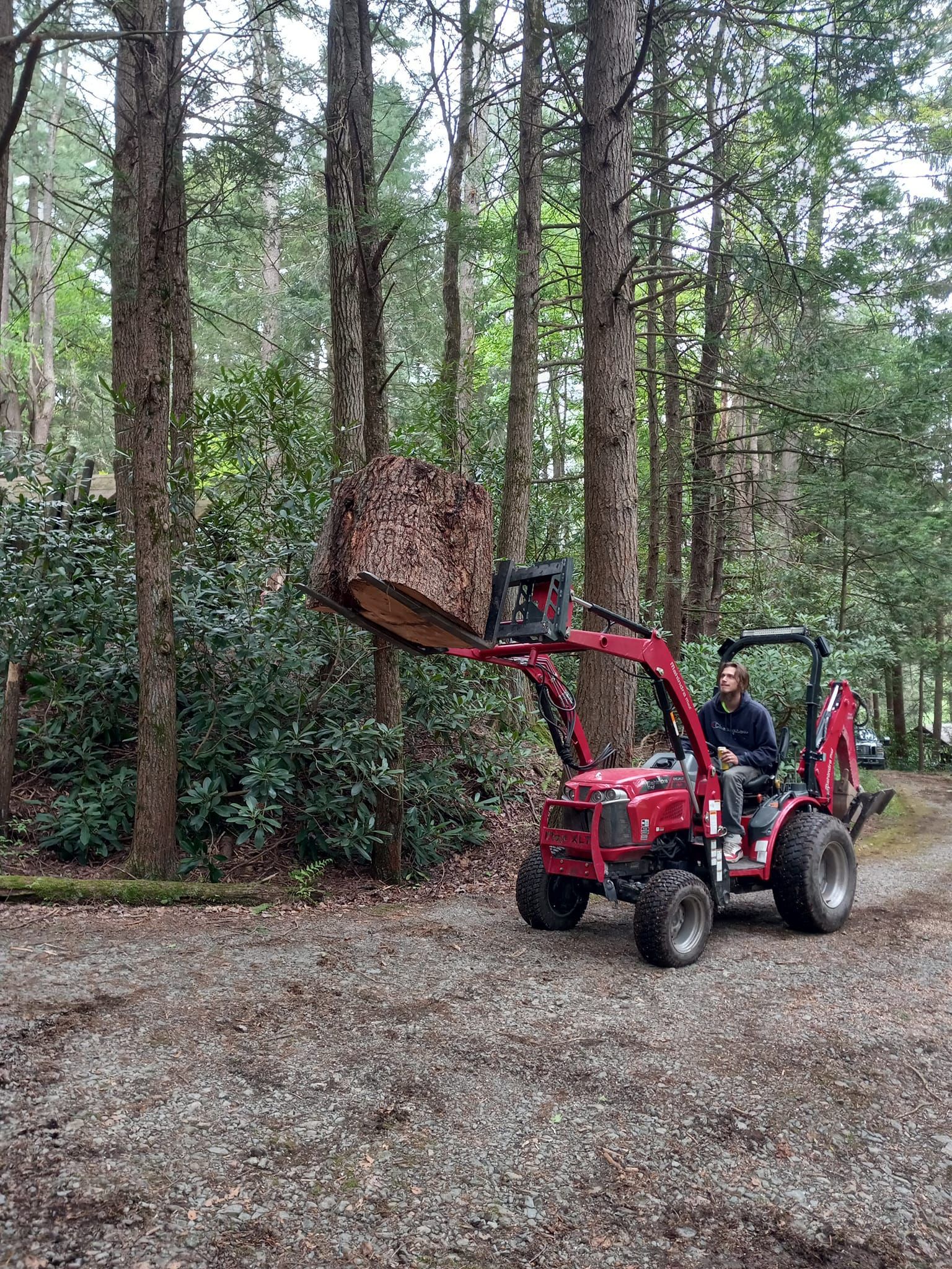 A man is driving a red tractor in the woods.