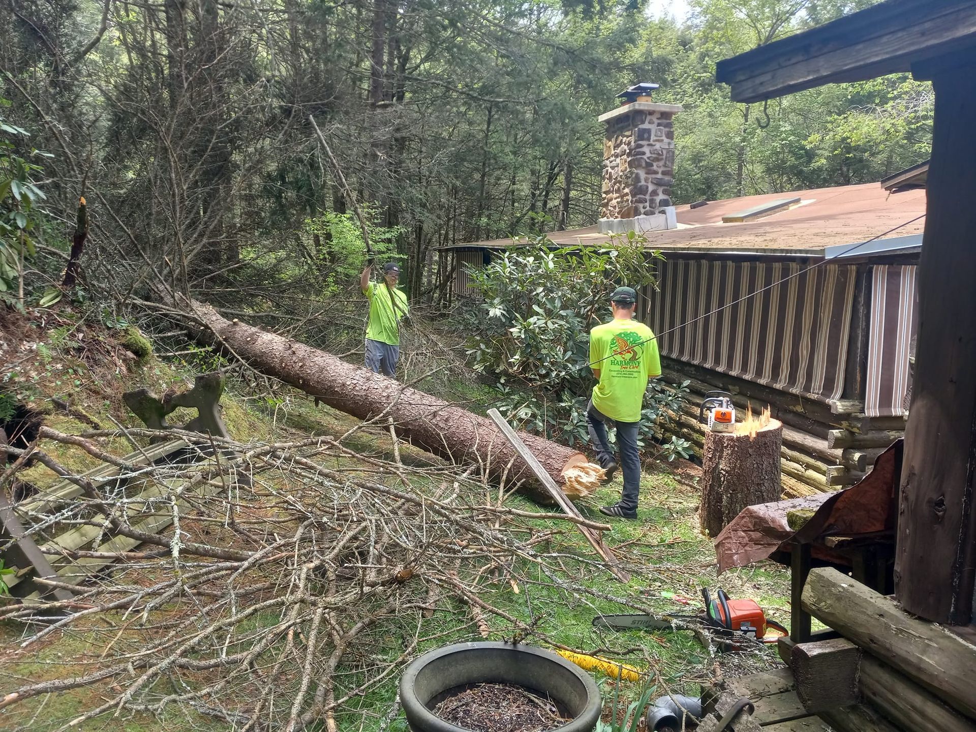 A group of men are cutting down a tree in front of a house.