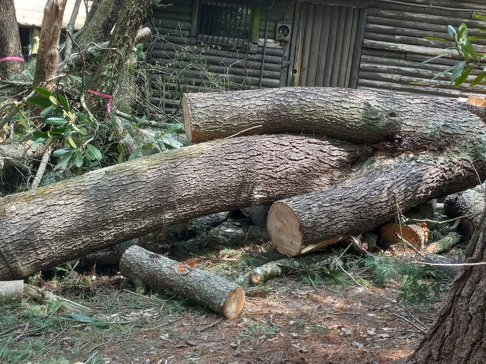 A pile of logs laying on the ground next to a log cabin.