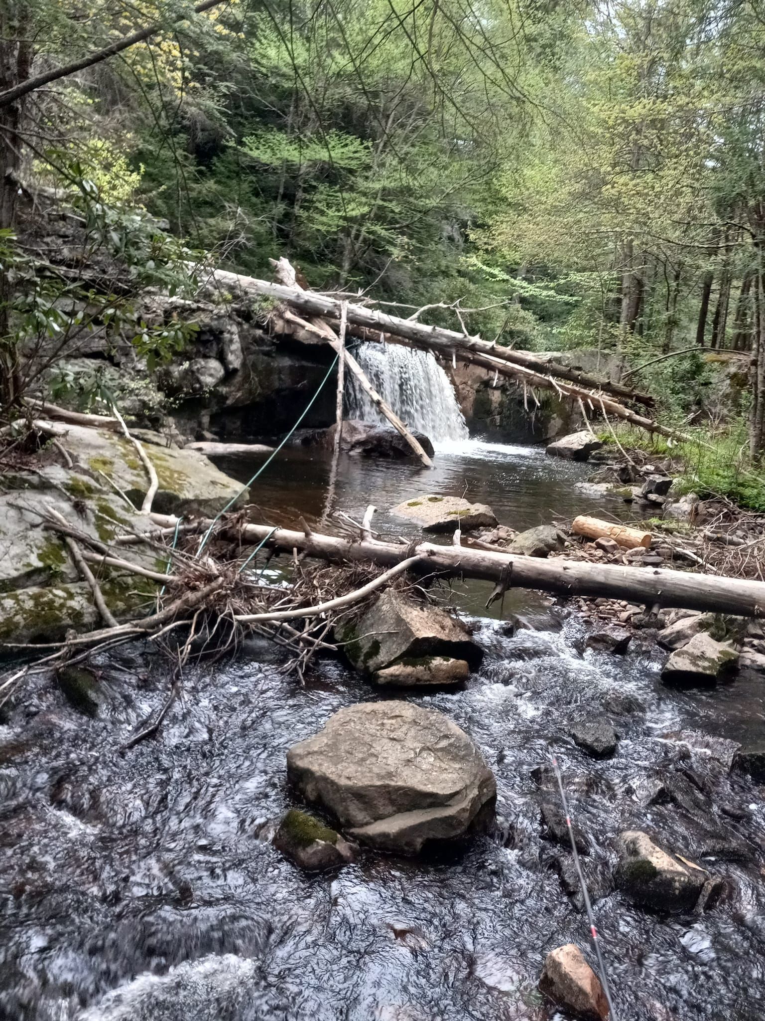 A small waterfall in the middle of a forest surrounded by rocks and trees.