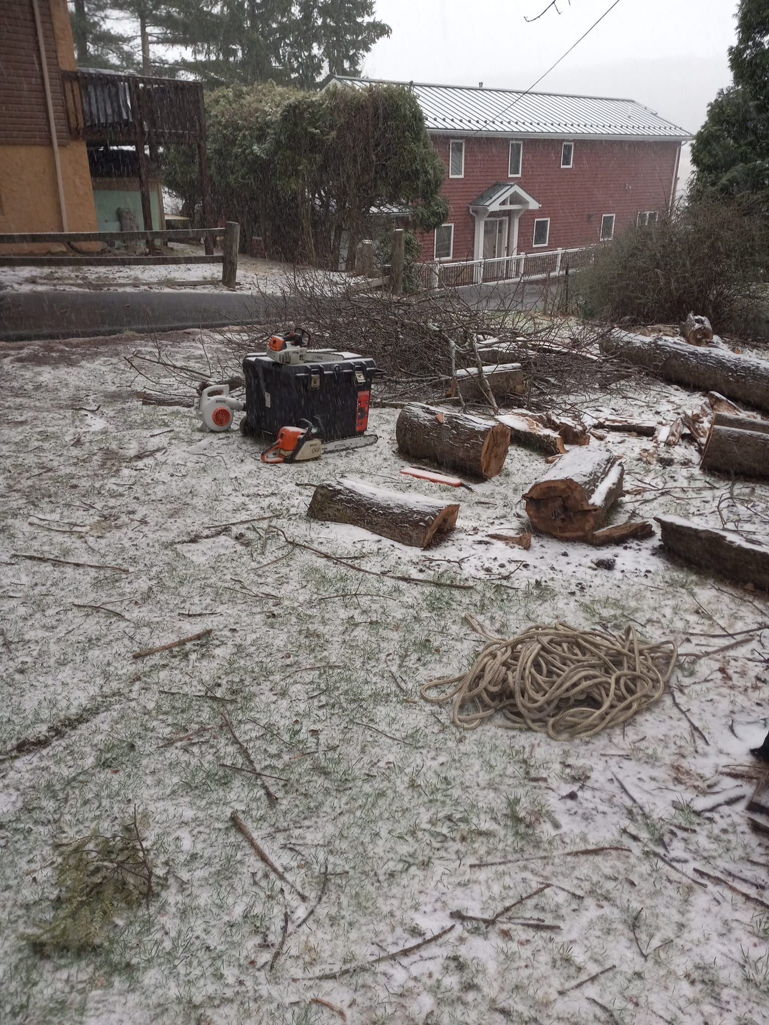 A lot of logs are laying on the ground in the snow.