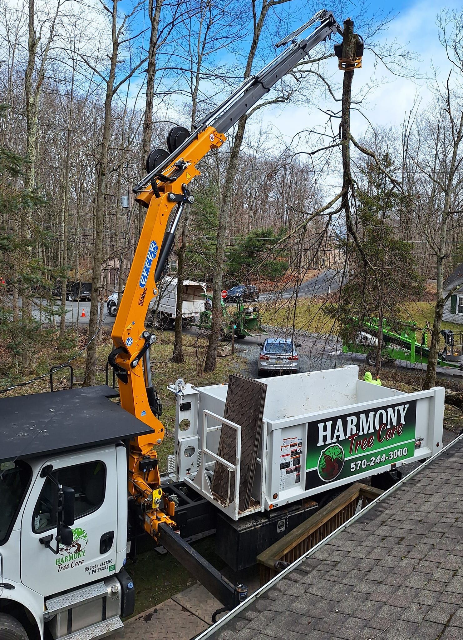 A crane is lifting a tree from a truck.