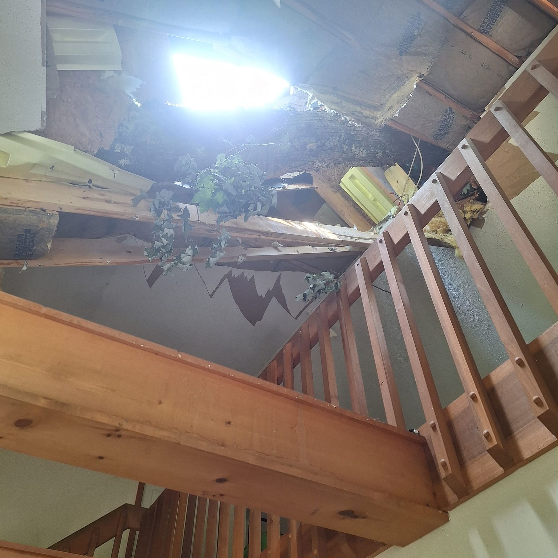 Looking up at a wooden staircase in a house