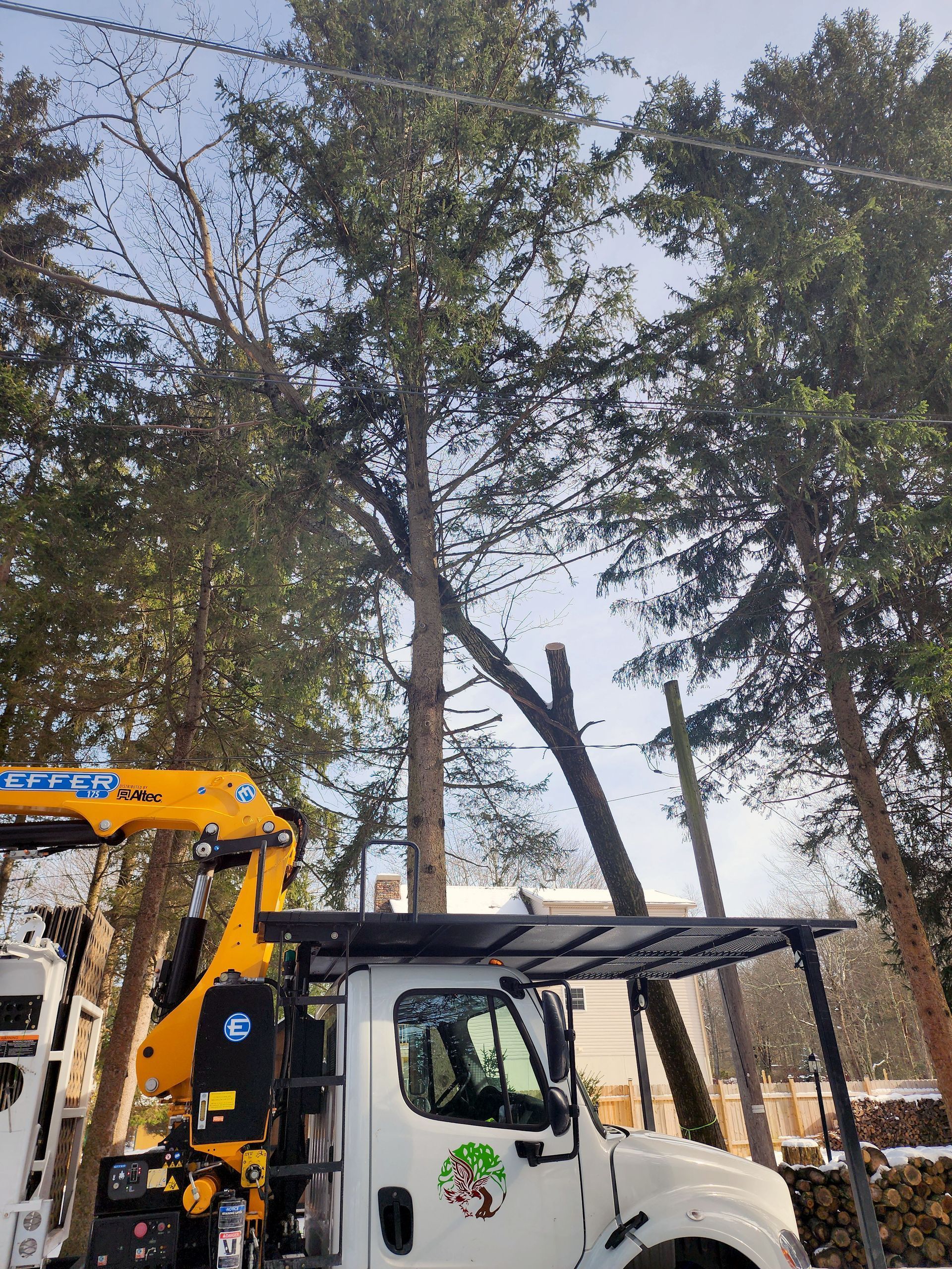 A truck with a crane attached to it is cutting a tree.