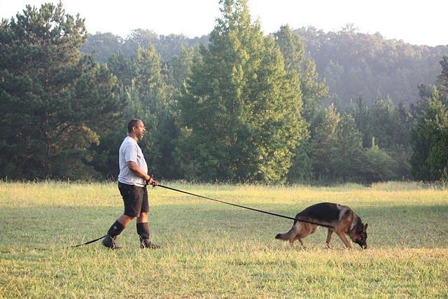 Walking the Dog with Leash — Williamson, GA — Leading Edge Kennels