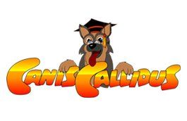 Canis Callidus Training Equipment