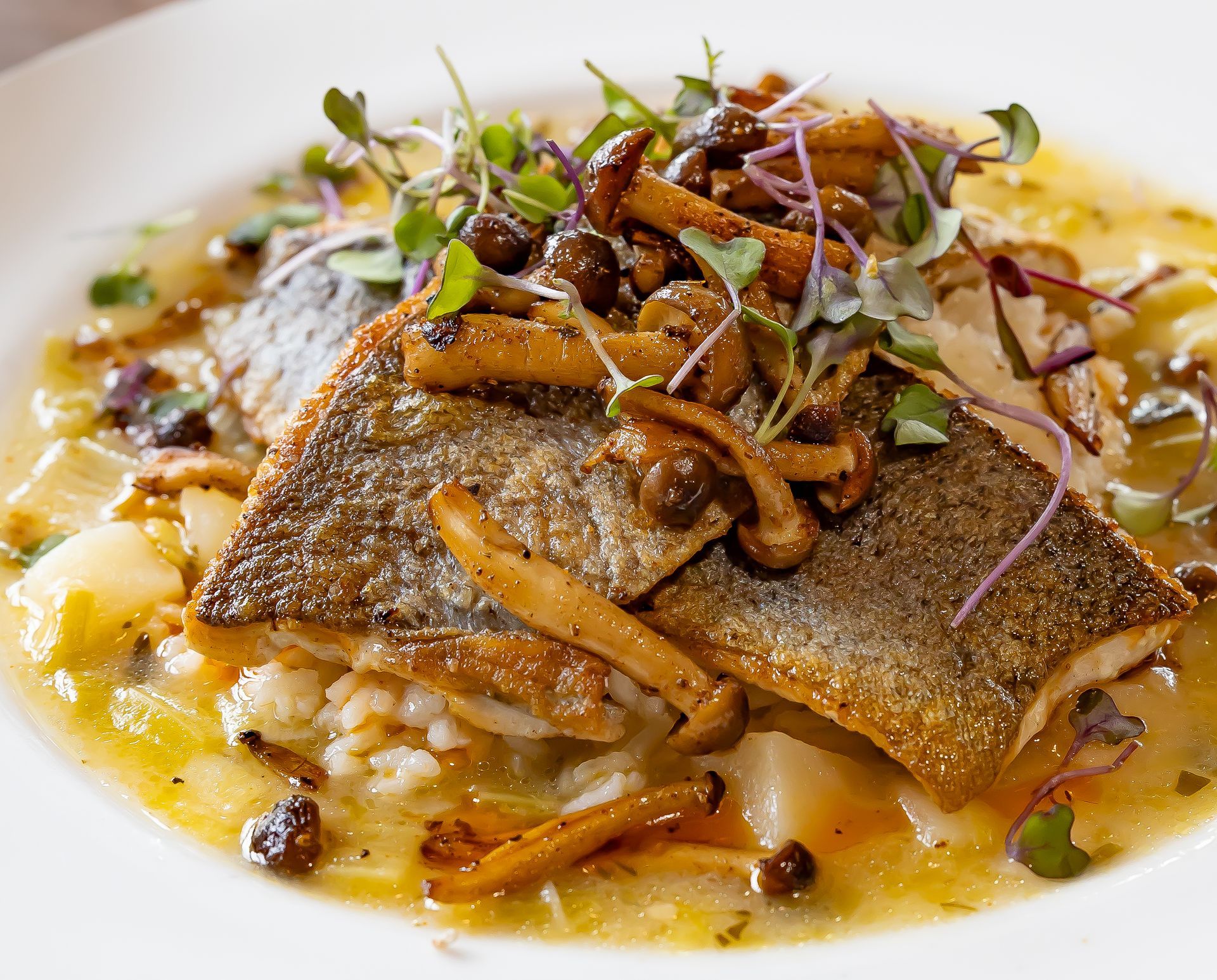 A white plate topped with a piece of fish and rice