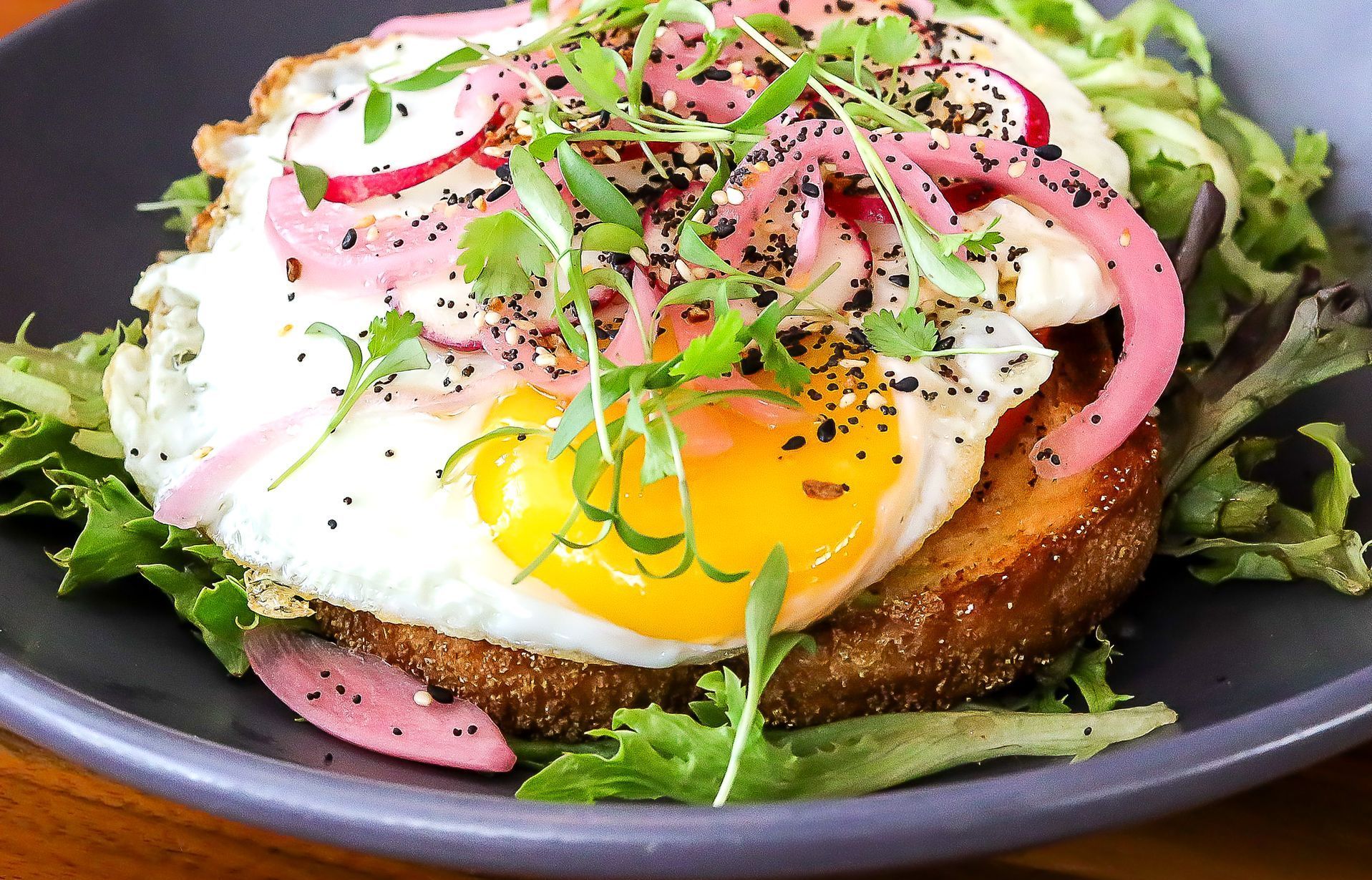 Fried egg on toast, topped with pickled onions and sprouts, on a bed of greens.