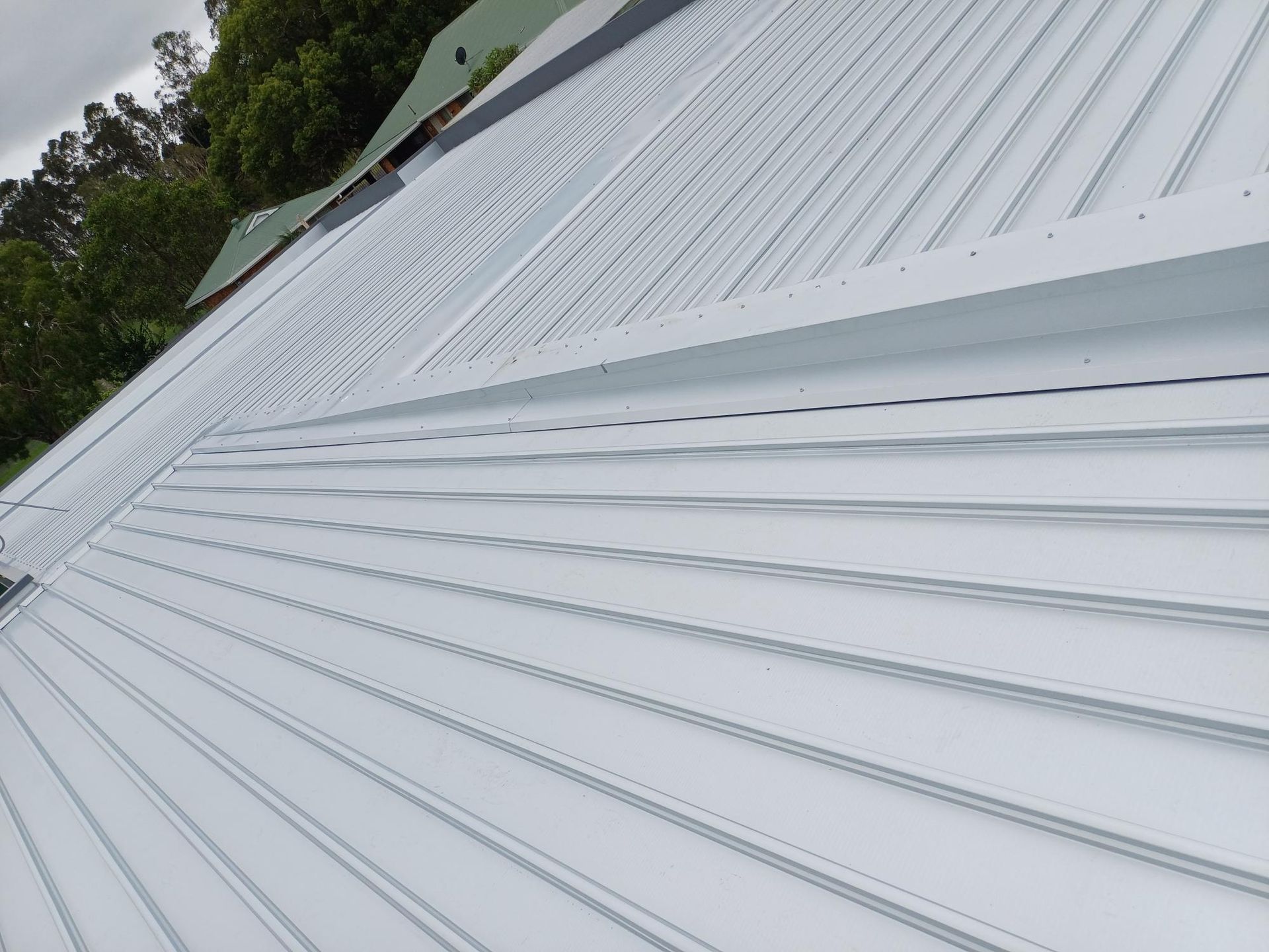 A Close Up Of A White Metal Roof With Trees In The Background — Rooftech Roofing Services in Ocean Shores, NSW