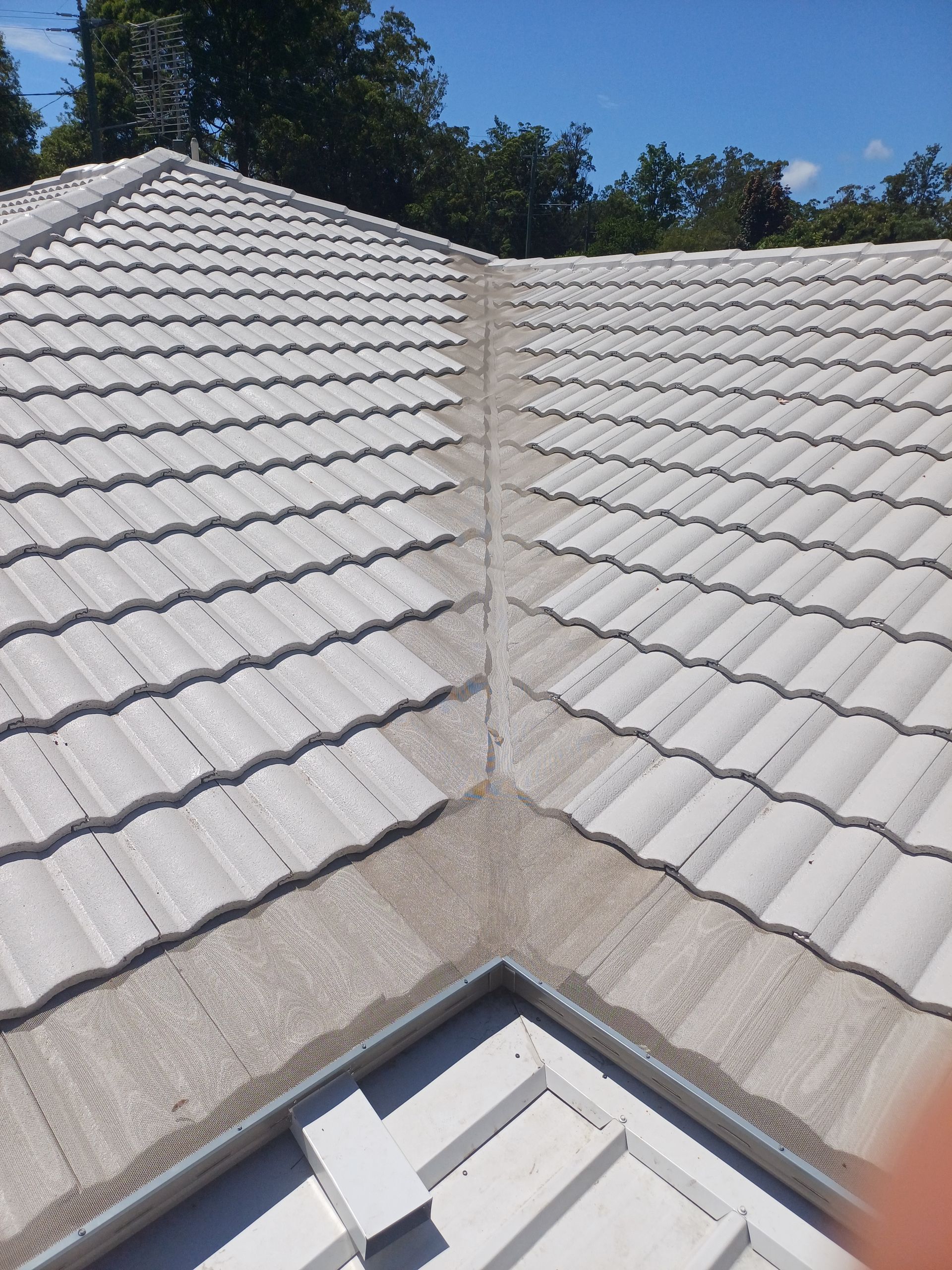 A White Tiled Roof With Trees In The Background — Rooftech Roofing Services in Ballina, NSW
