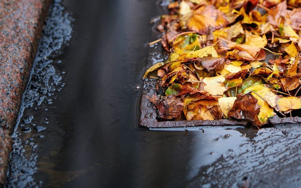 A Pile of Leaves Is Sitting on Top of A Black Surface — Rooftech Roofing Services in Yamba, NSW