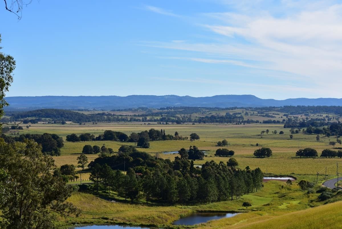 A View of A Lush Green Field with Trees and Mountains in The Background — Rooftech Roofing Services in Casino, NSW