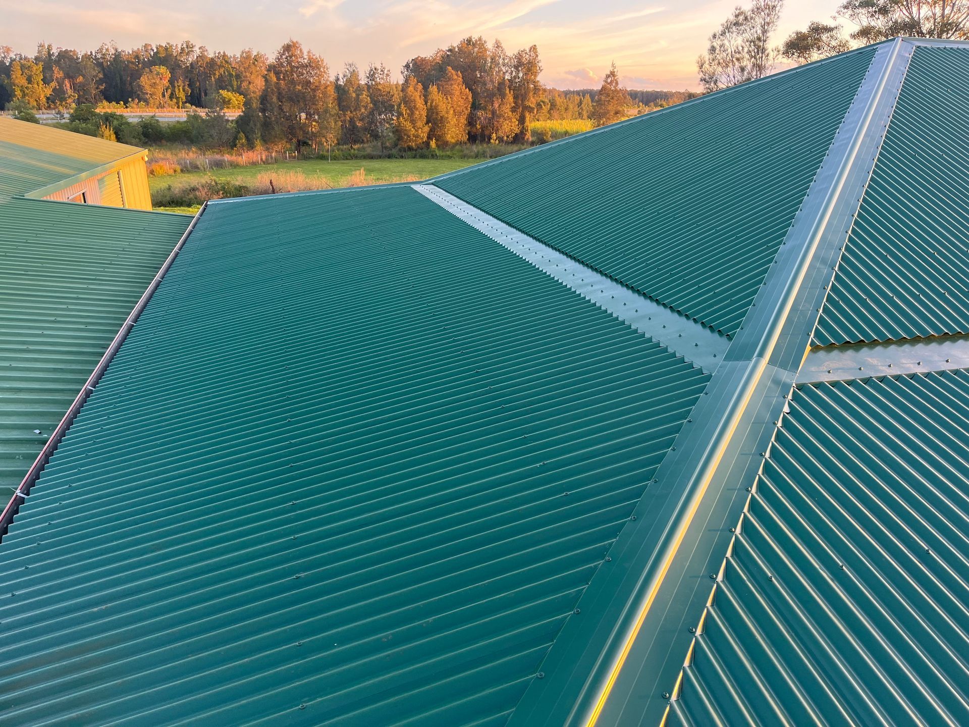 A Green Metal Roof With Trees — Rooftech Roofing Services in Ballina, NSW