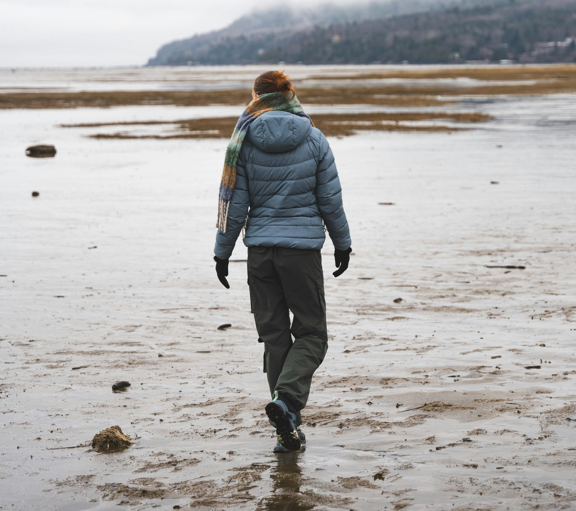 LaChance Wealth Partners - palm leaves close up