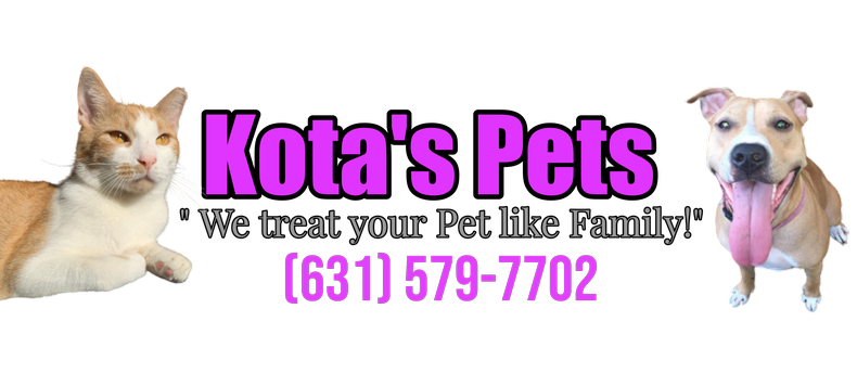 LONG ISLAND DOG WALKER AND PET SITTER