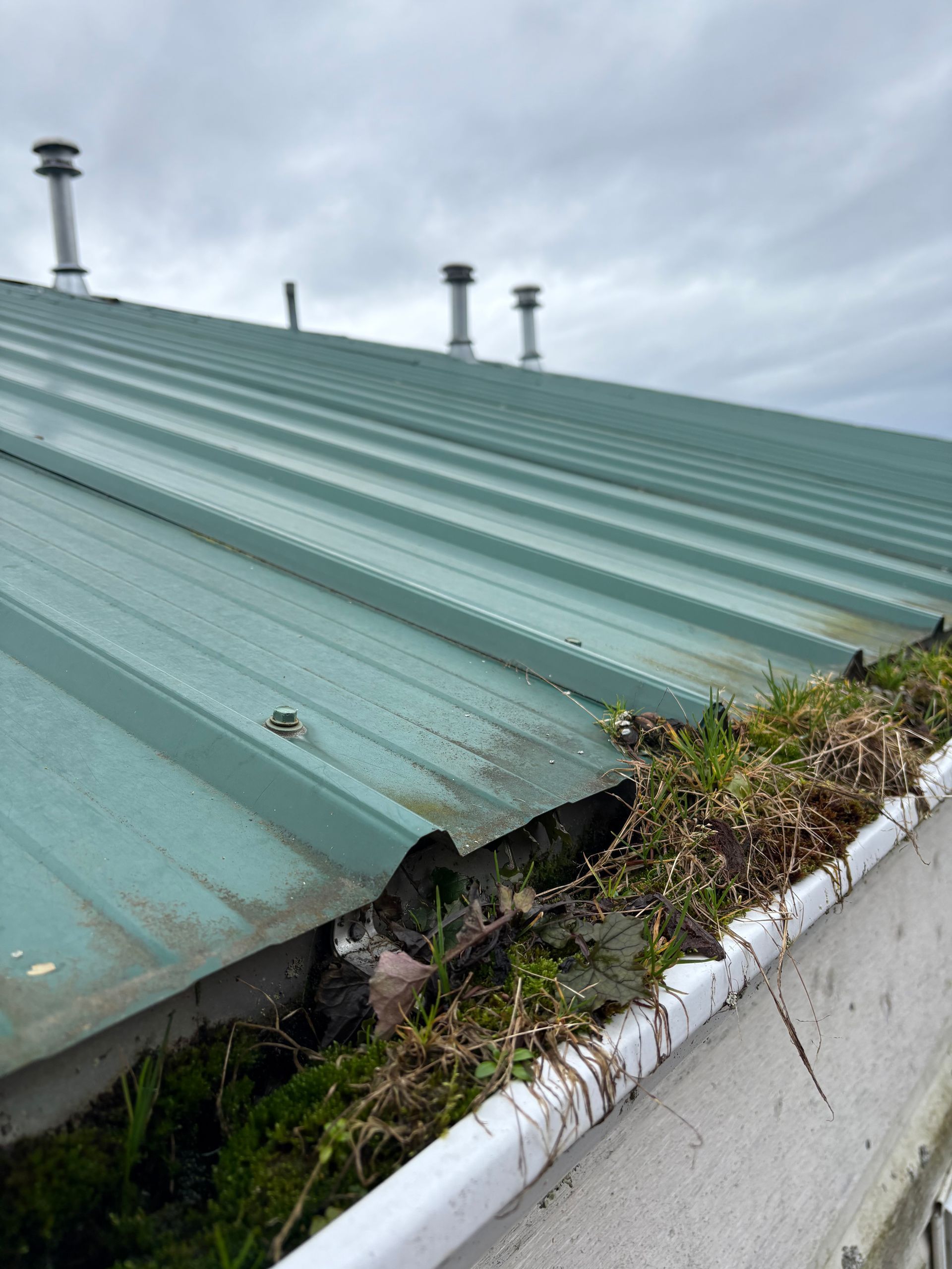 Green metal roof with overflowing gutter of debris; chimneys visible in the background.