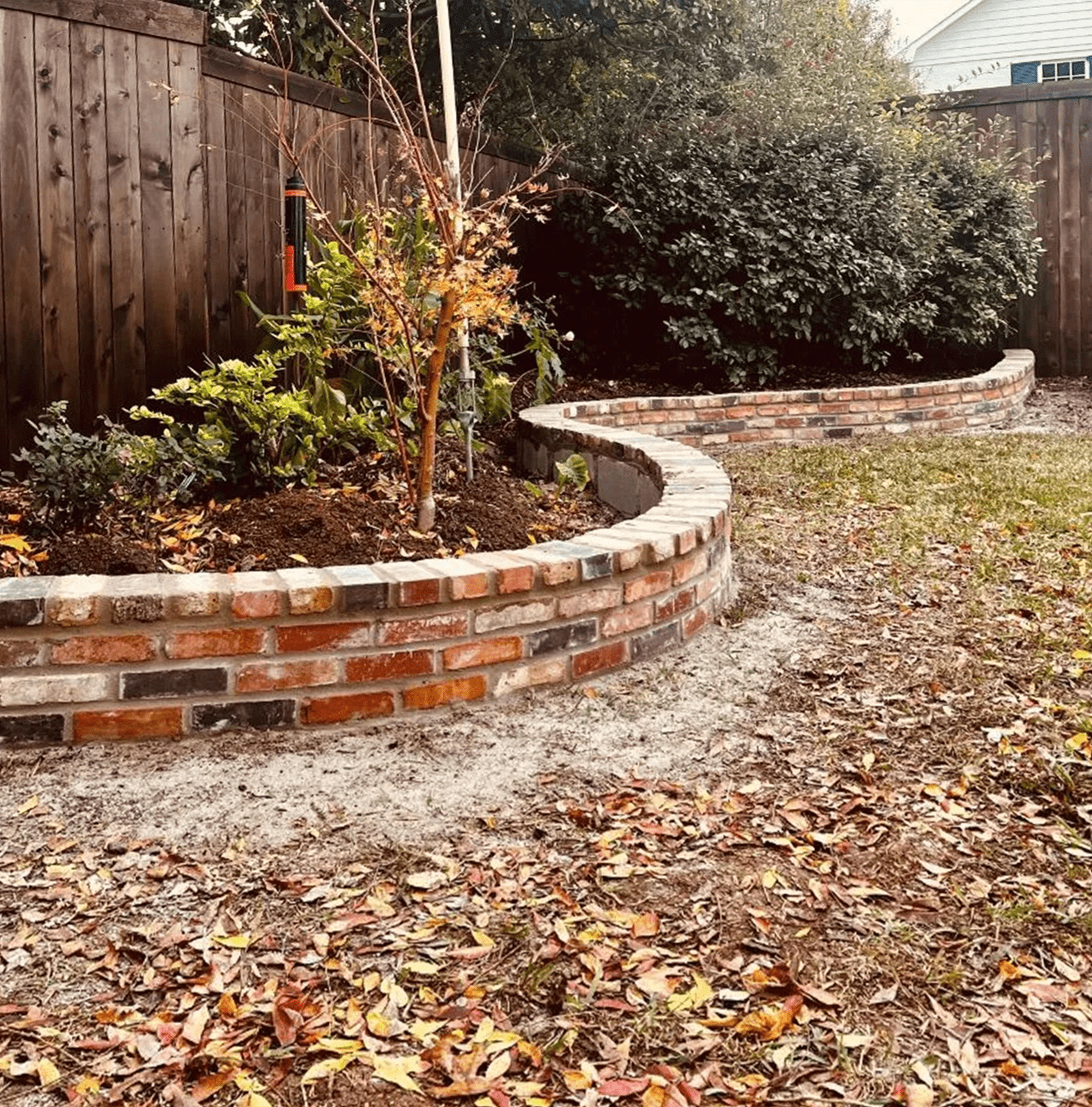 Brick retaining wall curving through a yard with plants, leaves, and a wooden fence.