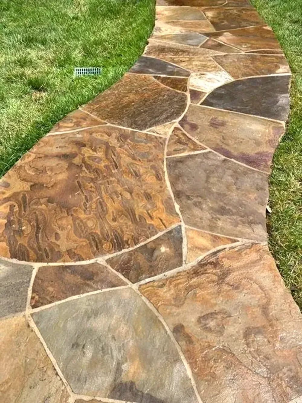 Flagstone pathway winding through green grass, tan and brown hues.