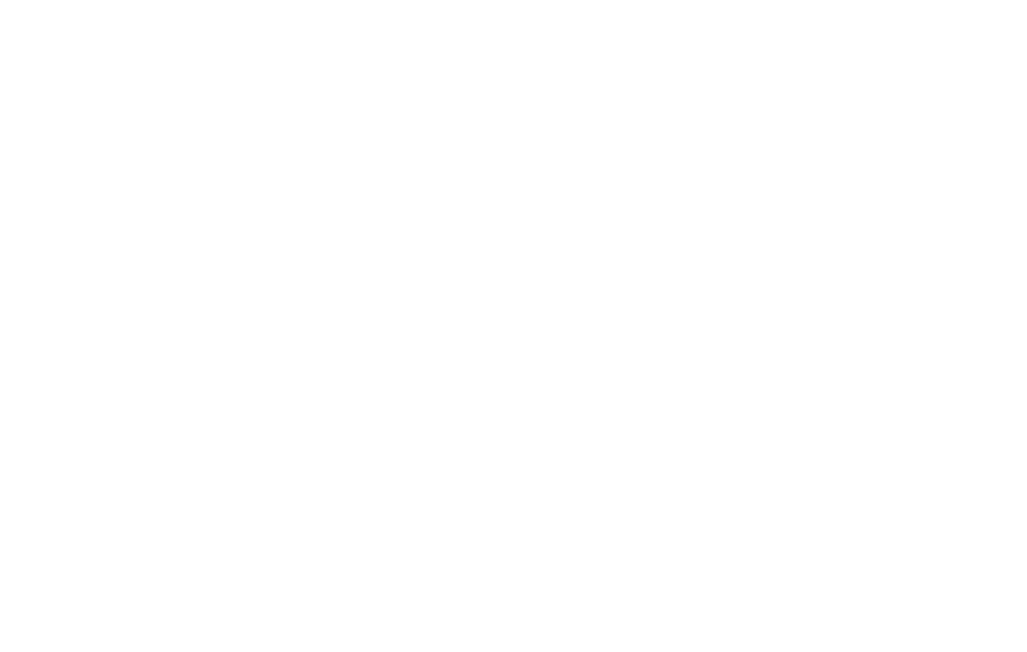 Dixie Motors logo