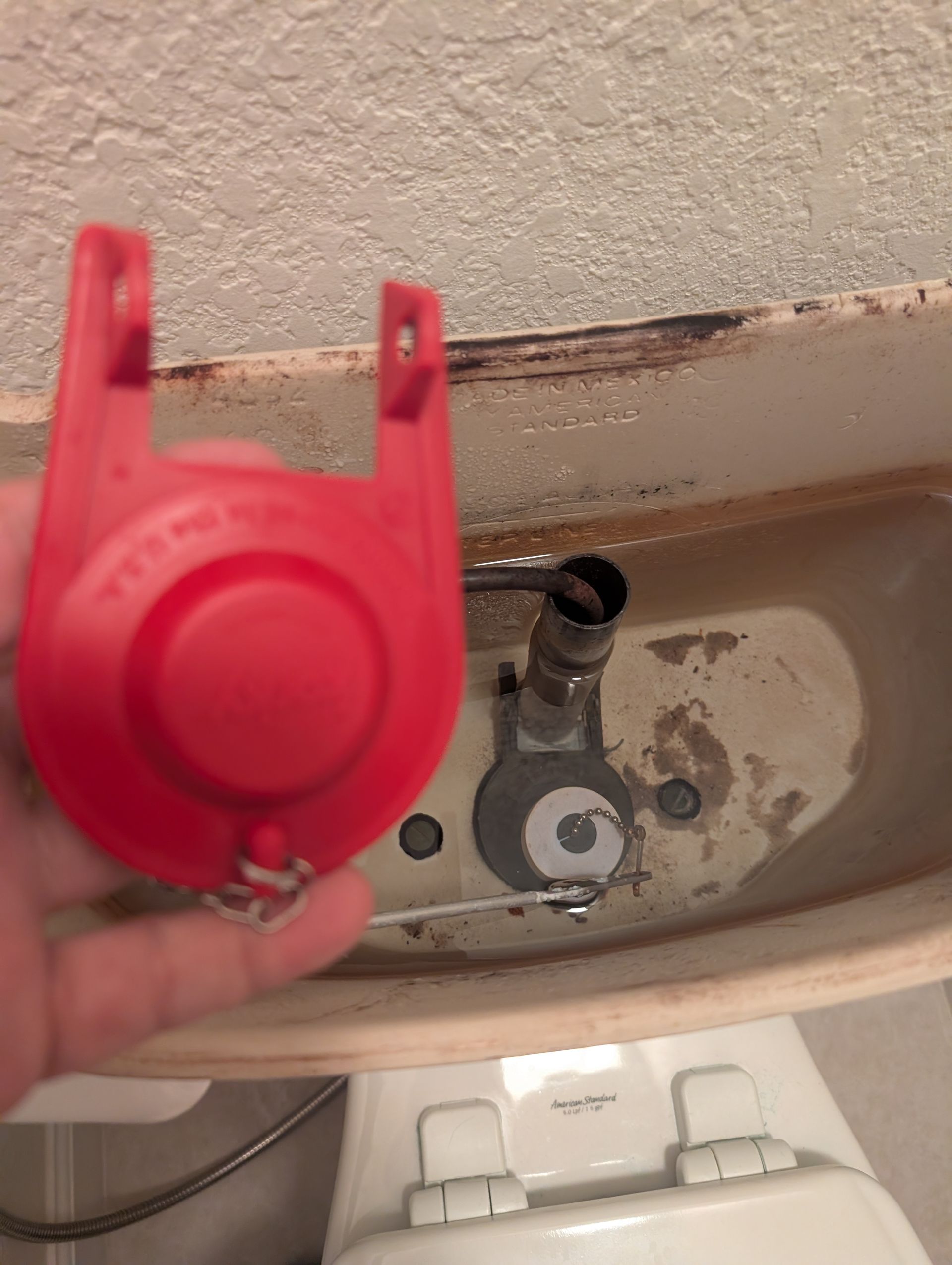 Hand holding a red toilet flapper above a toilet tank.
