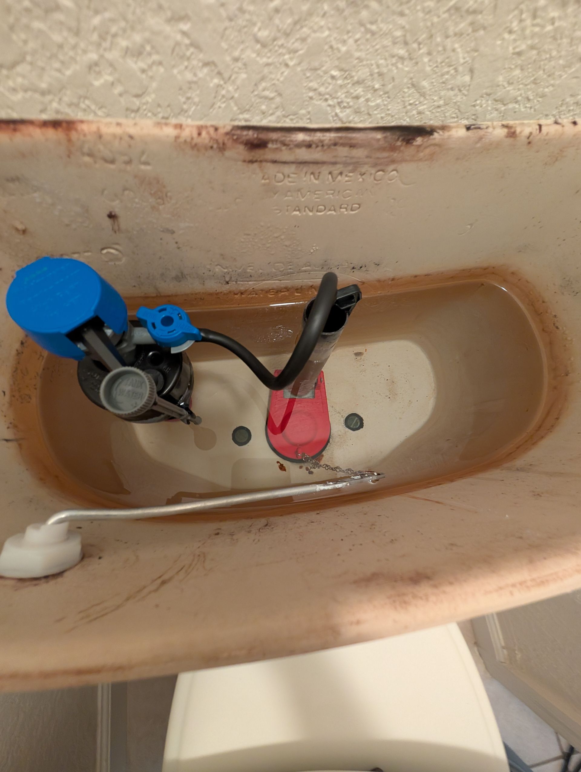 Inside of a toilet tank with a blue fill valve, black hose, and red flapper. The tank is stained.