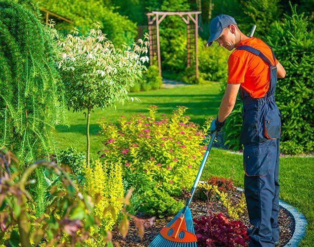 Servizi hotel e aziende Cta