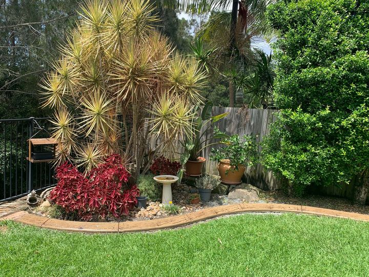 Garden with a bench | Brisbane, QLD | Kiwi Kerb Camp Hill