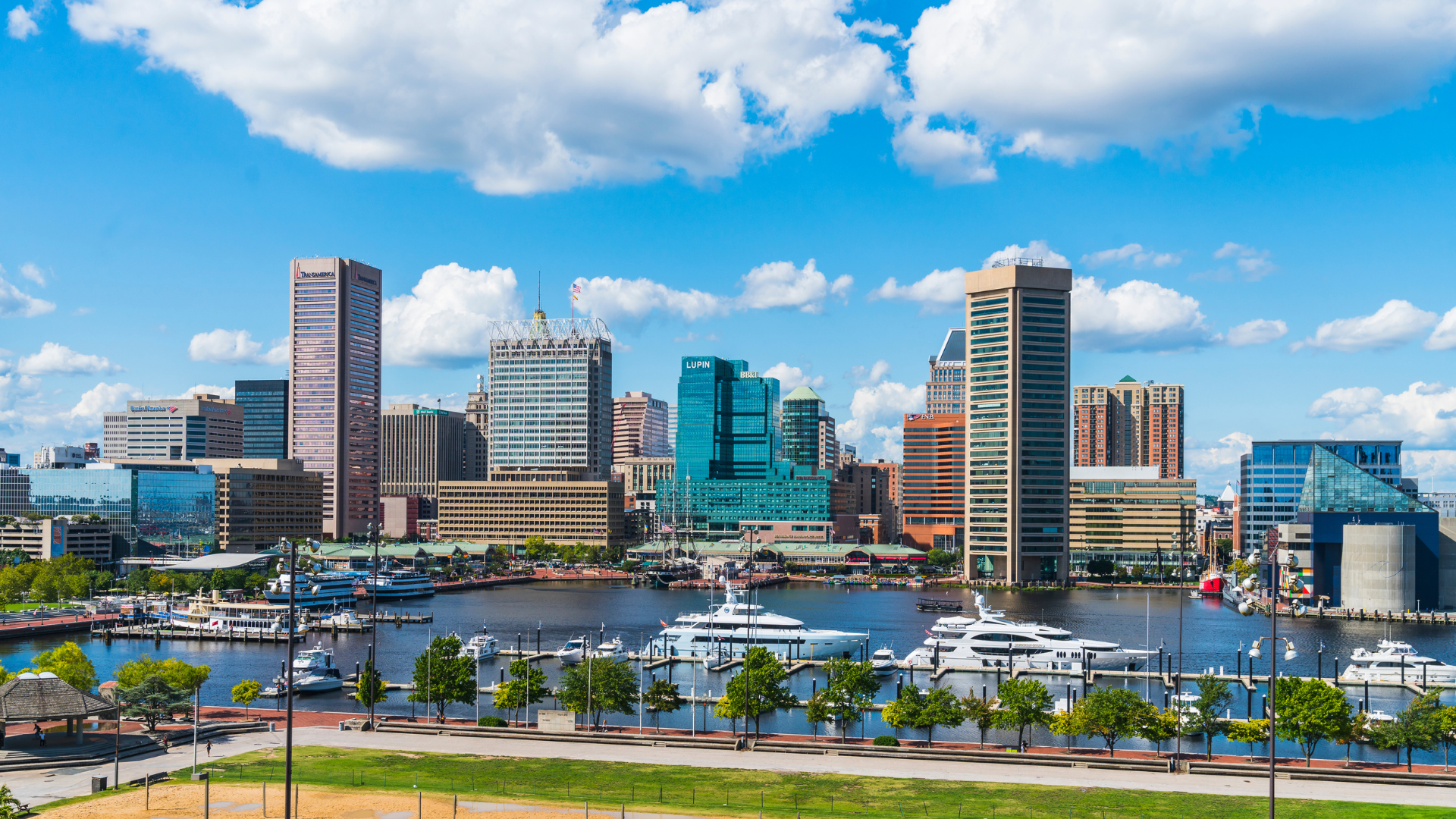 An aerial view of a city skyline with boats docked in the water.
