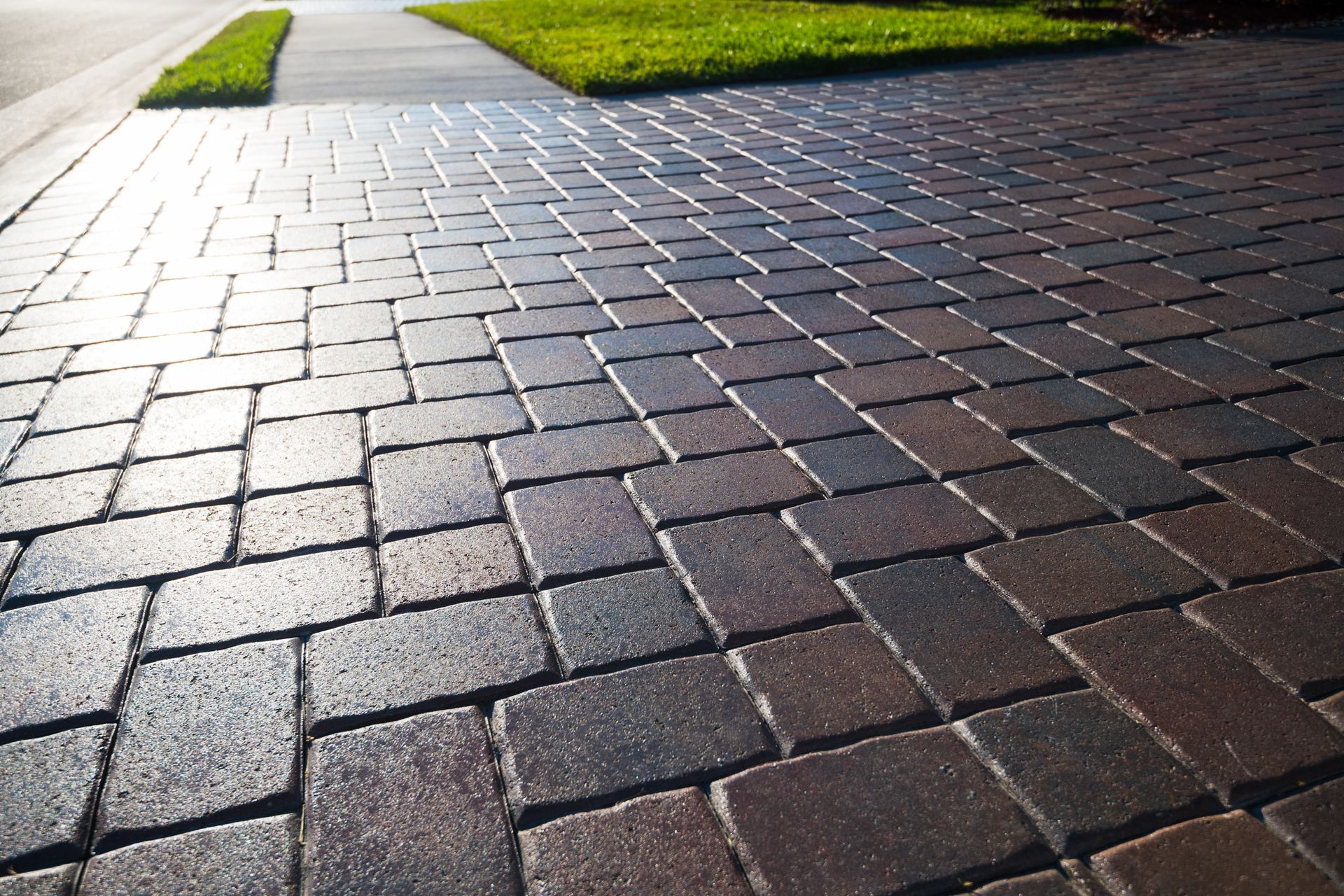 Wet brick walkway beside green grass, with sunlight reflecting off the paving stones