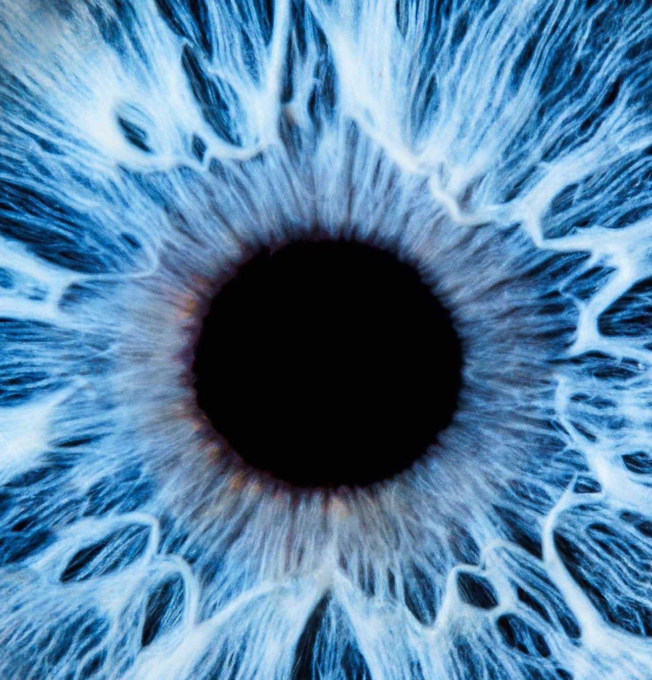 Mint VA portfolio_redesign, rebranding_virtual assistant