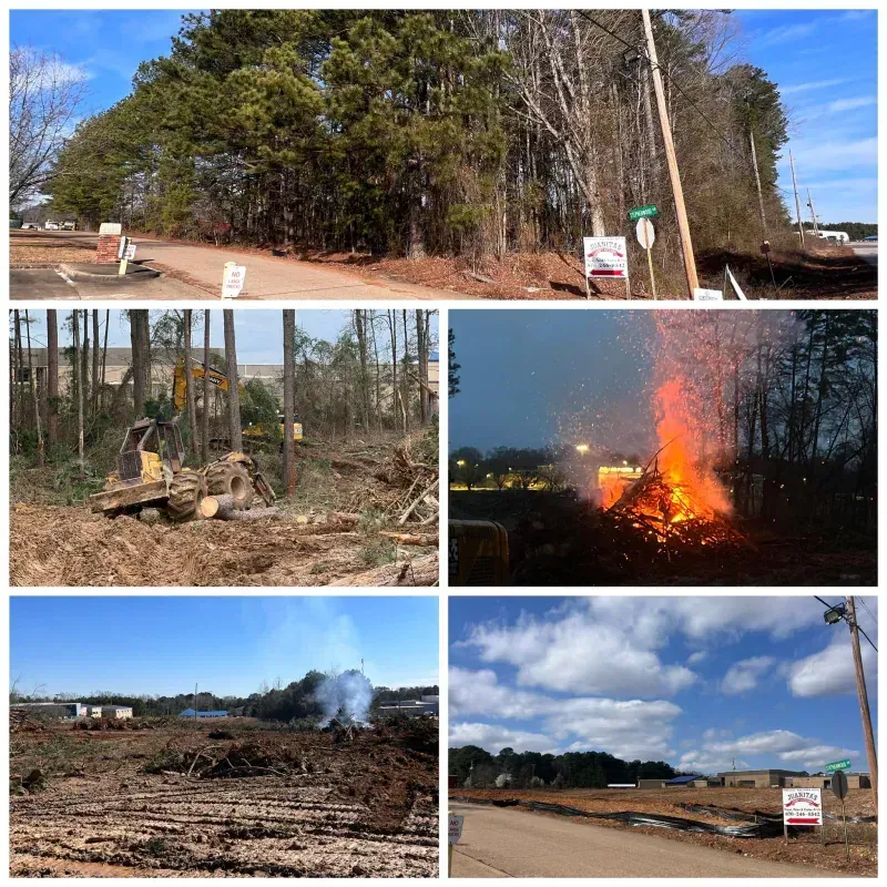 A collage of pictures shows a lot of different things