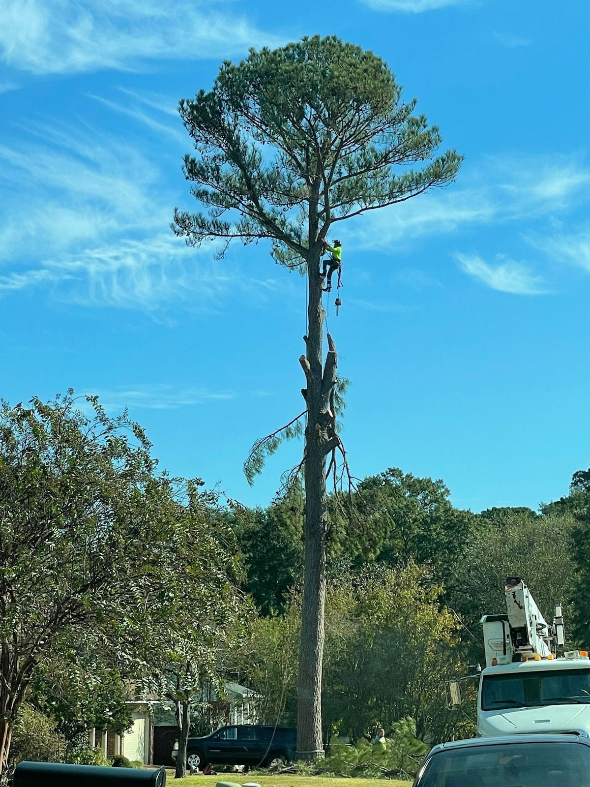 A man is climbing a tree with a crane in the background.