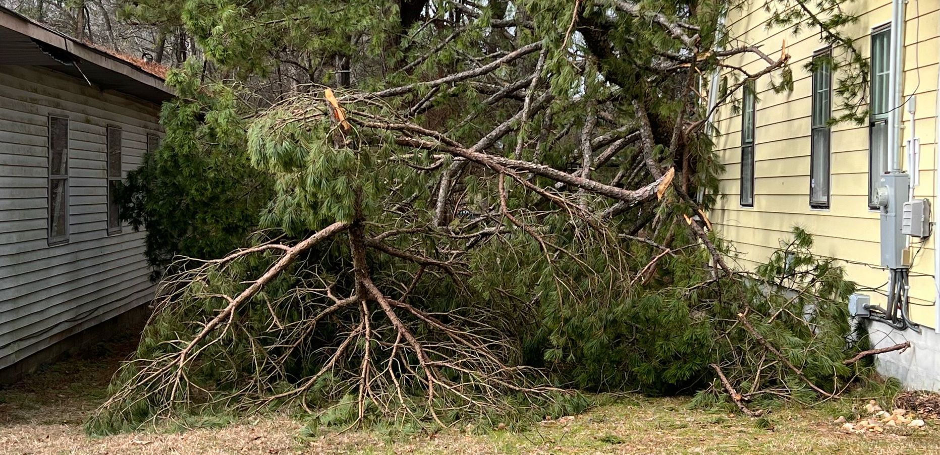 A large pile of branches is sitting in front of a house.