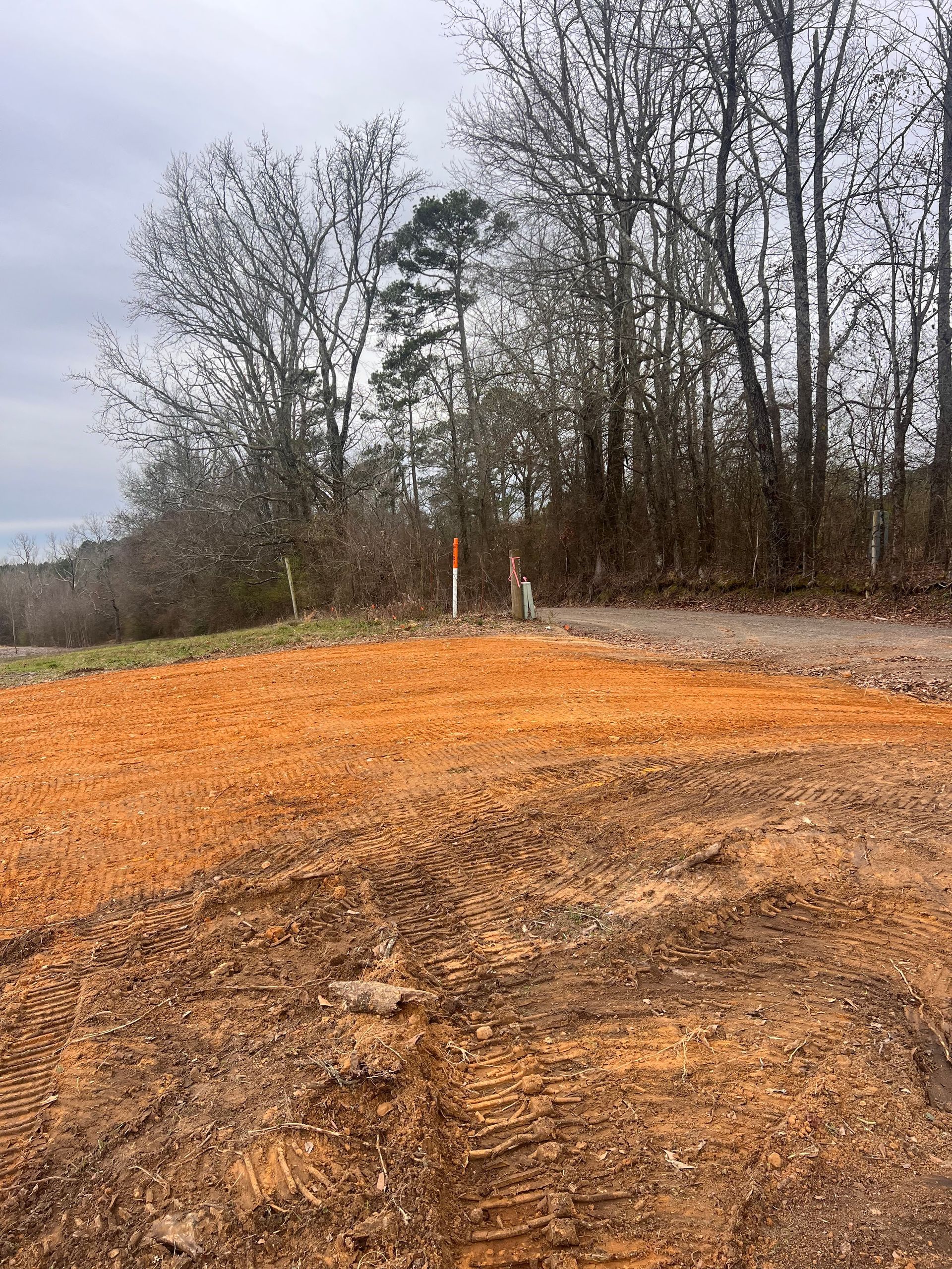 A dirt road going through a field with trees in the background.
