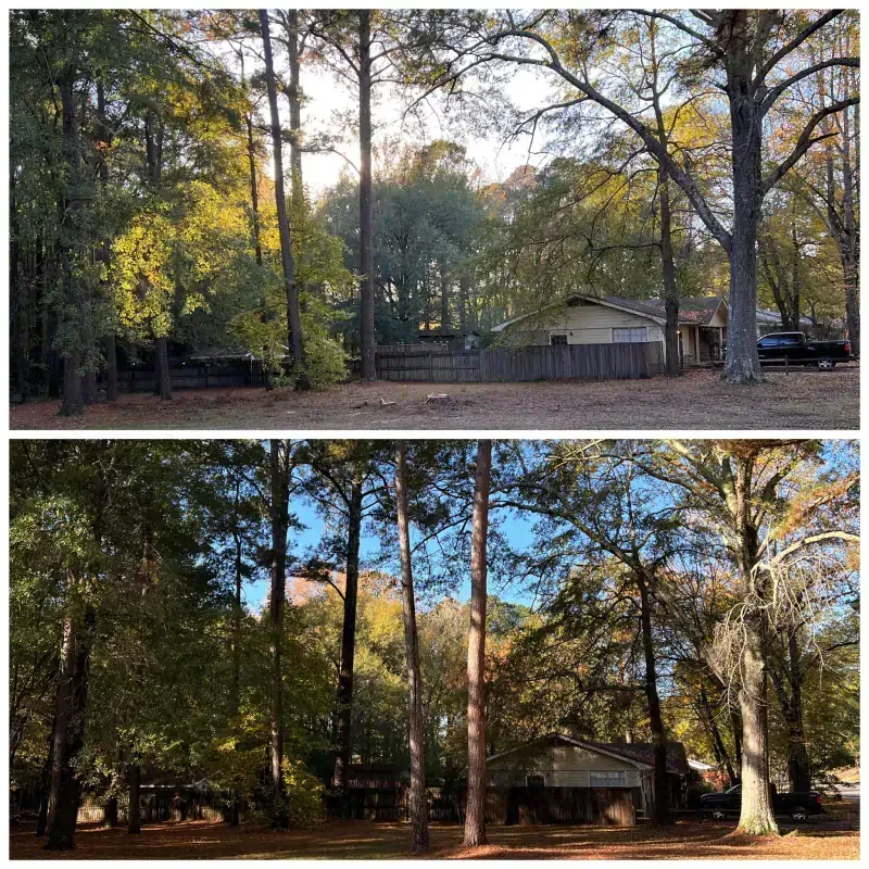 A before and after picture of a forest with a house in the background.