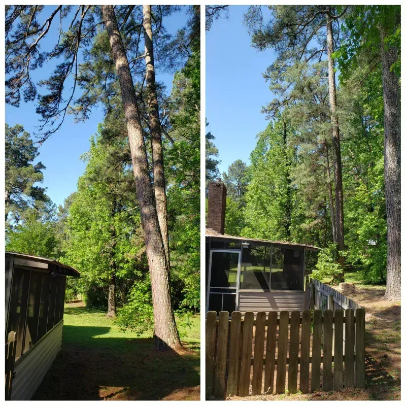 A house with a screened in porch is surrounded by trees