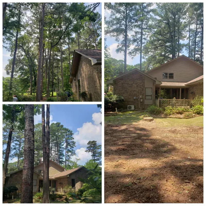 A collage of four pictures of a house surrounded by trees