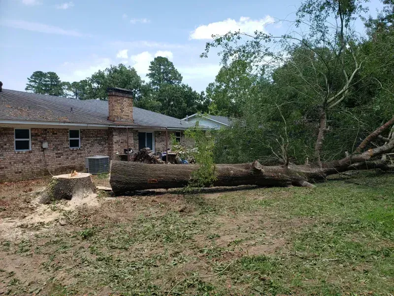 A large log is laying in the grass in front of a house.