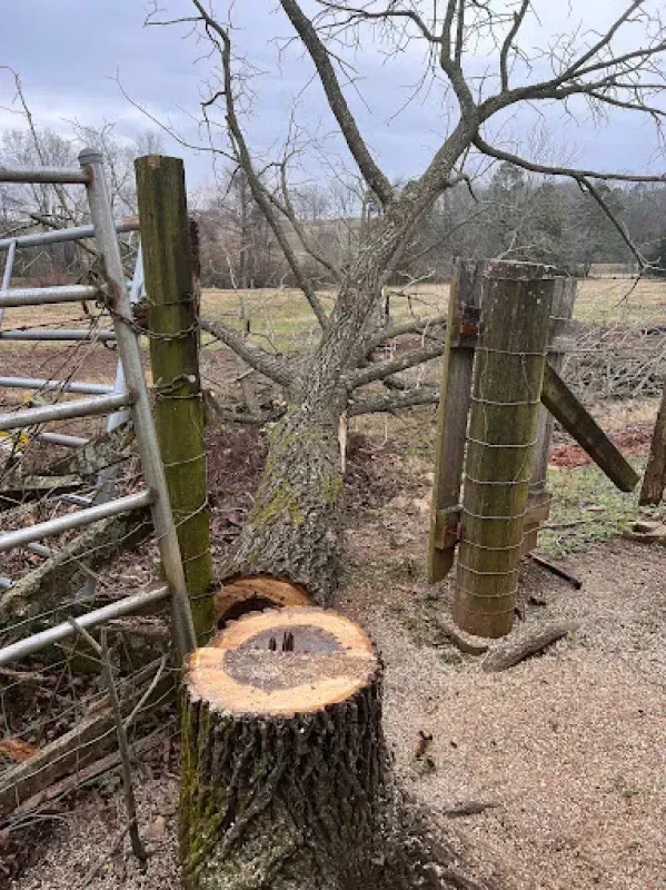 A tree stump is sitting next to a fence in a field.