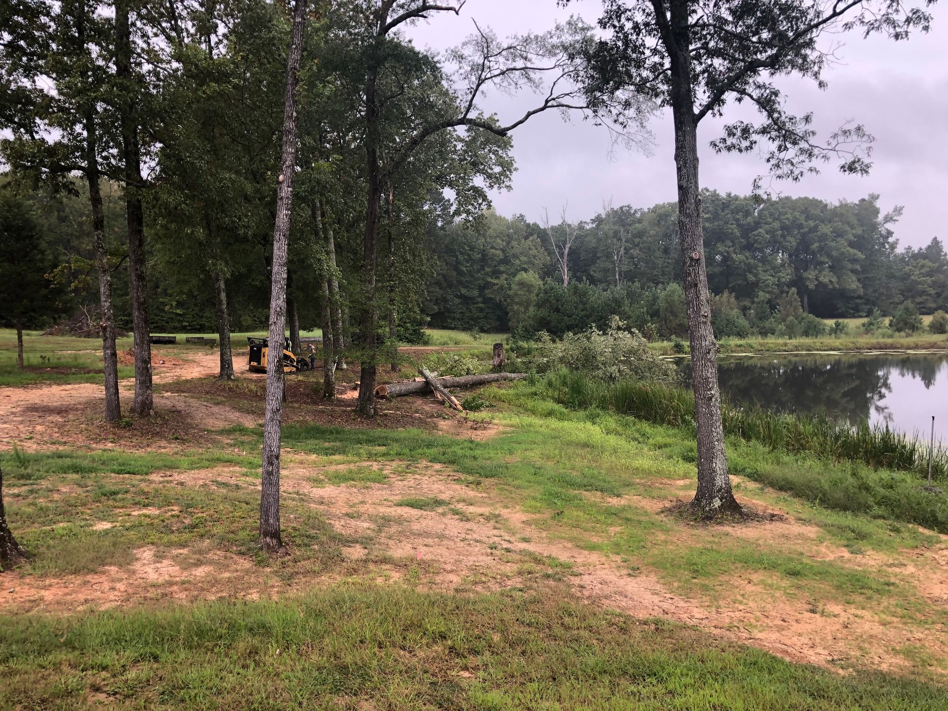 A park with trees and a lake in the background.