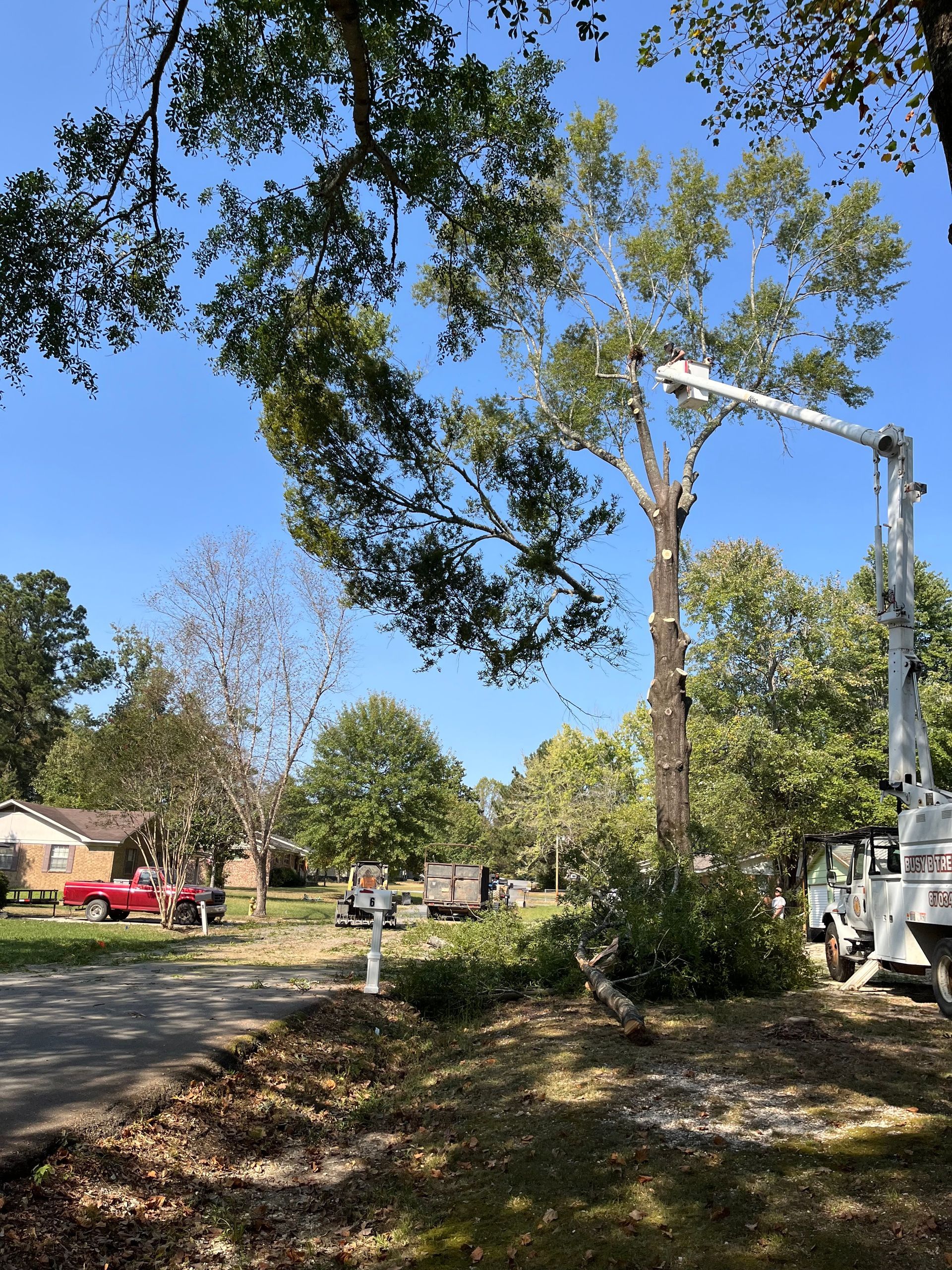 A crane is cutting a tree in a residential area
